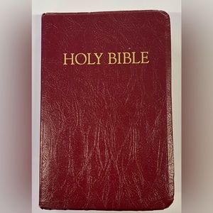 The NRSV New Revised Standard Children's Bible-Red Faux Leather Edition - 2006